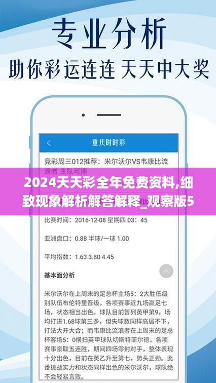 2024年天天开好彩资料,高效性设计规划_锐意版20.914