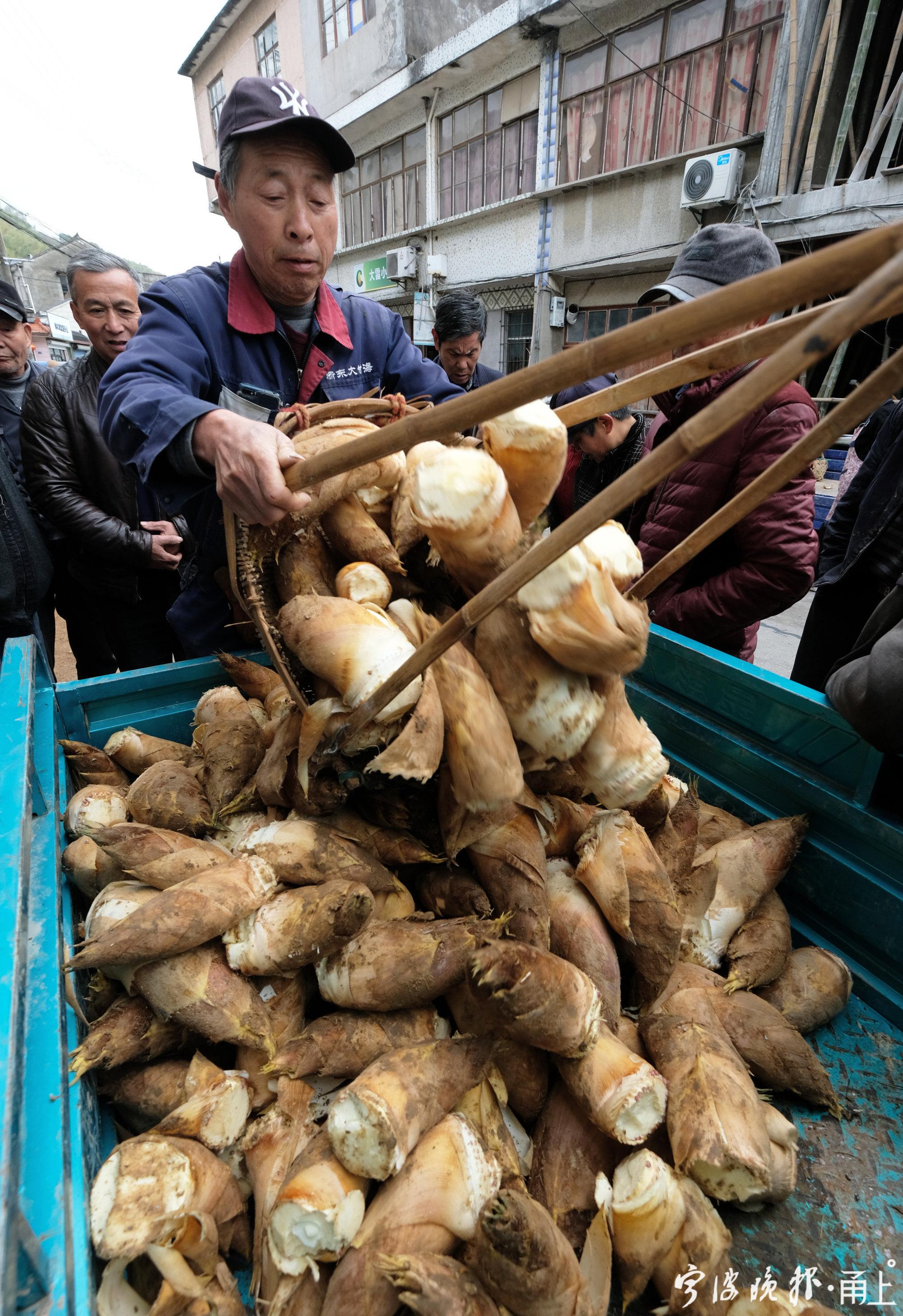 冬笋上市，深度探讨其价值与影响