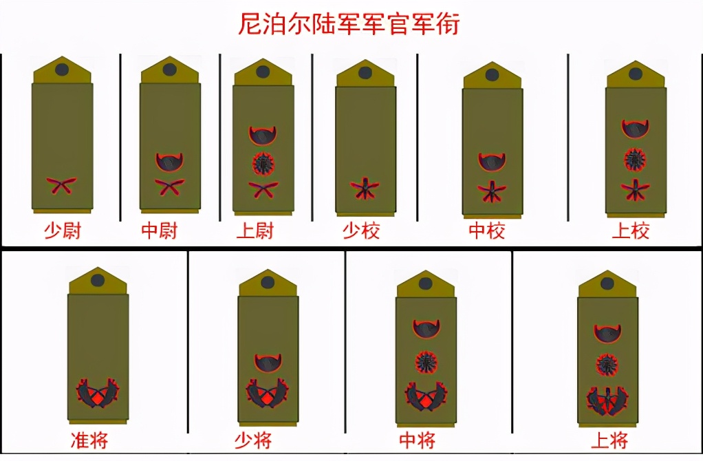 最新陆军军衔揭秘，军旅生活中的温馨日常