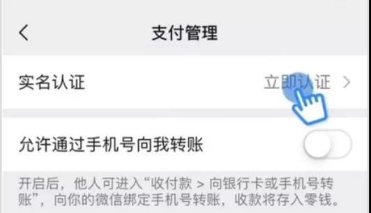 最新永顺小姐微信号，网络社交现象的多重解读与探讨