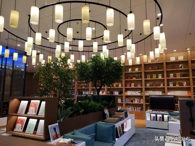 第237页