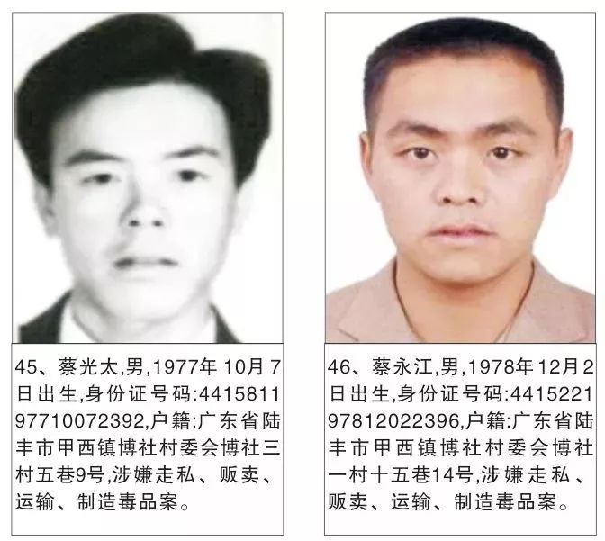 陆丰最新新闻，城市温馨日常与友情的小确幸