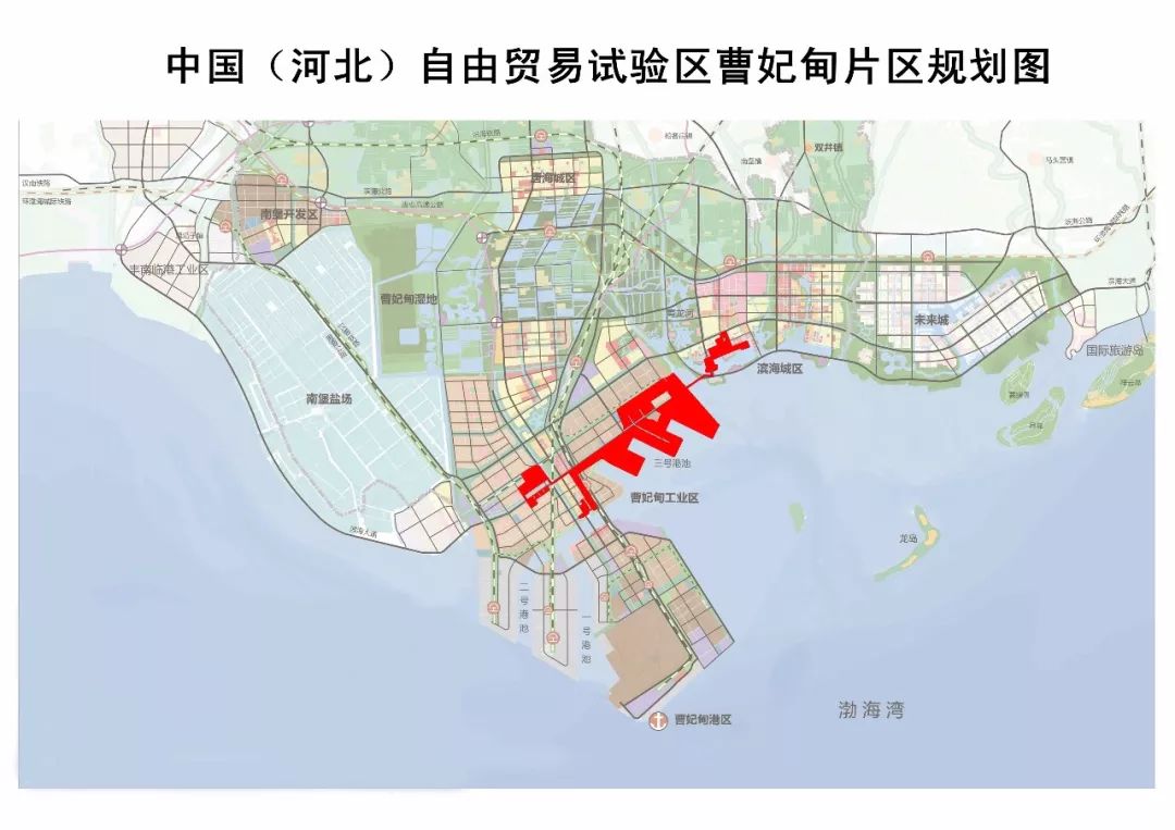 曹妃甸胡瑞新最新消息及步骤指南速递